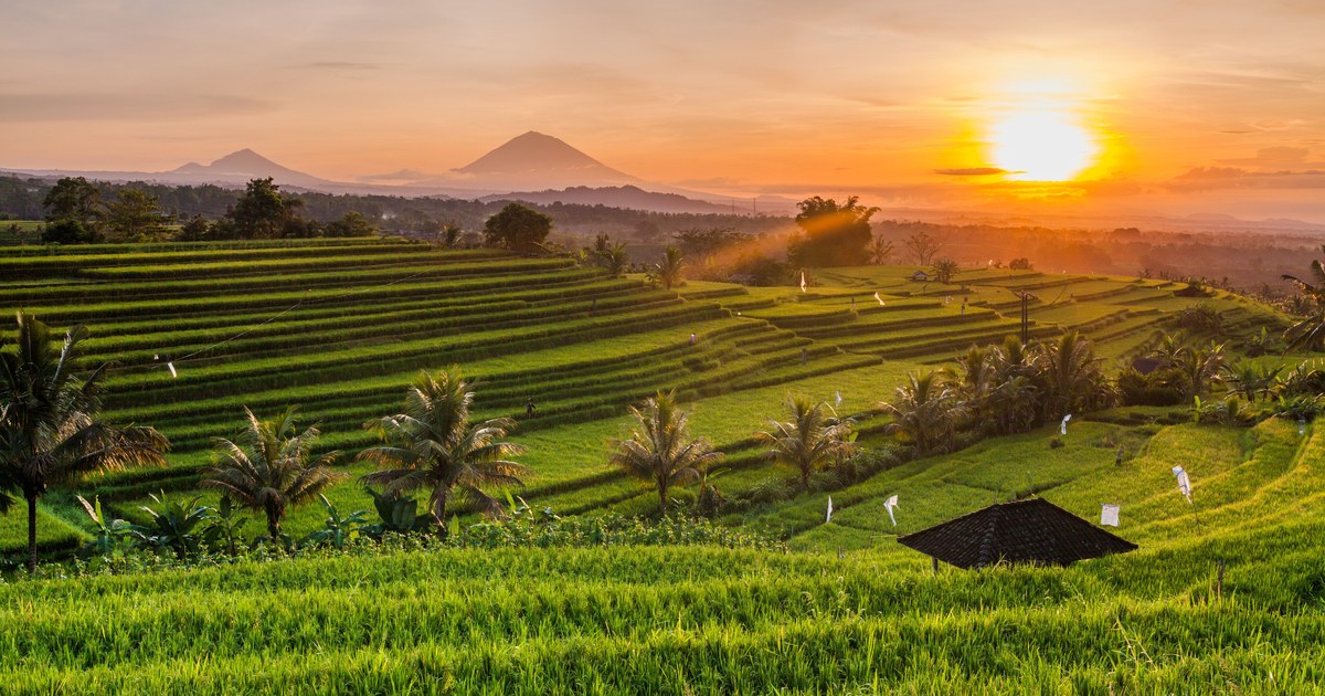 Hidden Nature Around Bandung: Explore the Secret Green Escapes