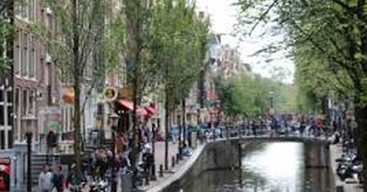 Amsterdam vs. Haarlem: Which City Should You Visit?