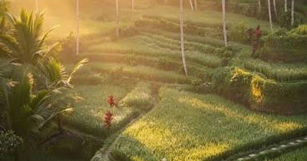 Bali & Lombok Combo Trip: The Perfect 10-Day Itinerary