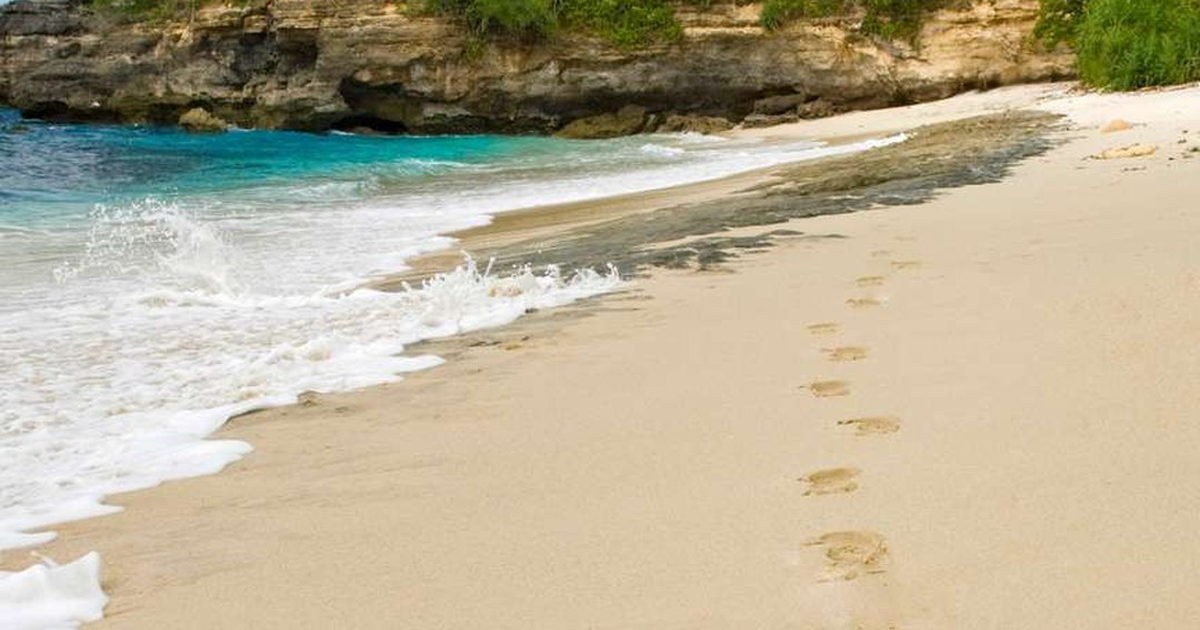 Bali Vegan vs Thailand Vegan: Which Destination Wins for Plant-Based Travel?