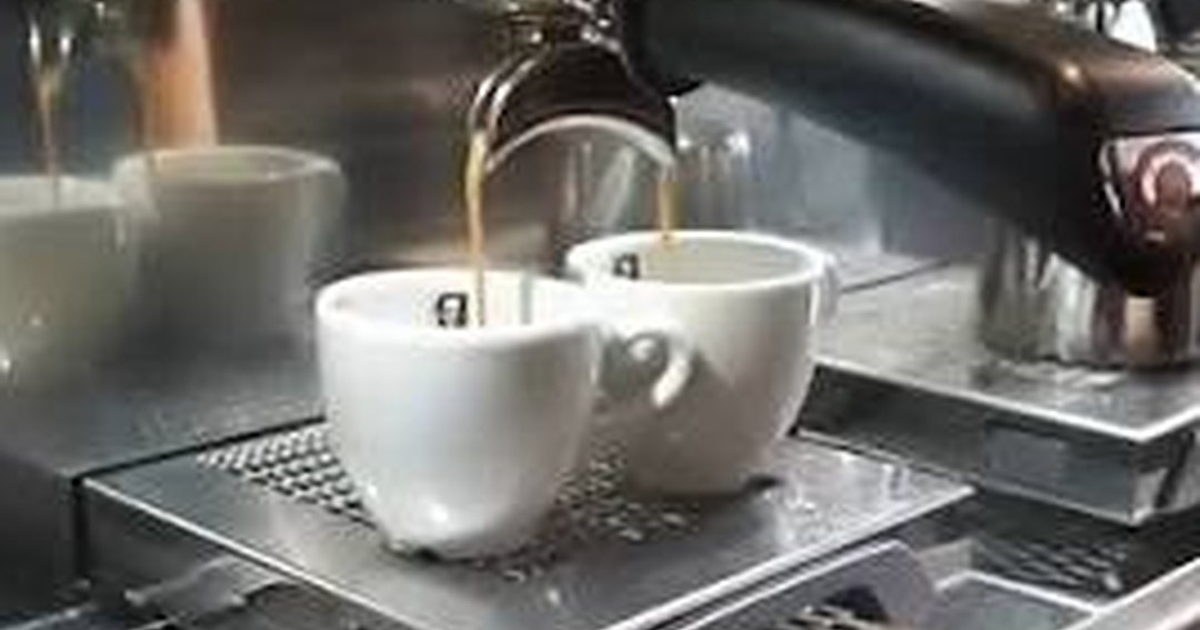 Best Coffee near Plein: Where Locals Get Their Daily Fix