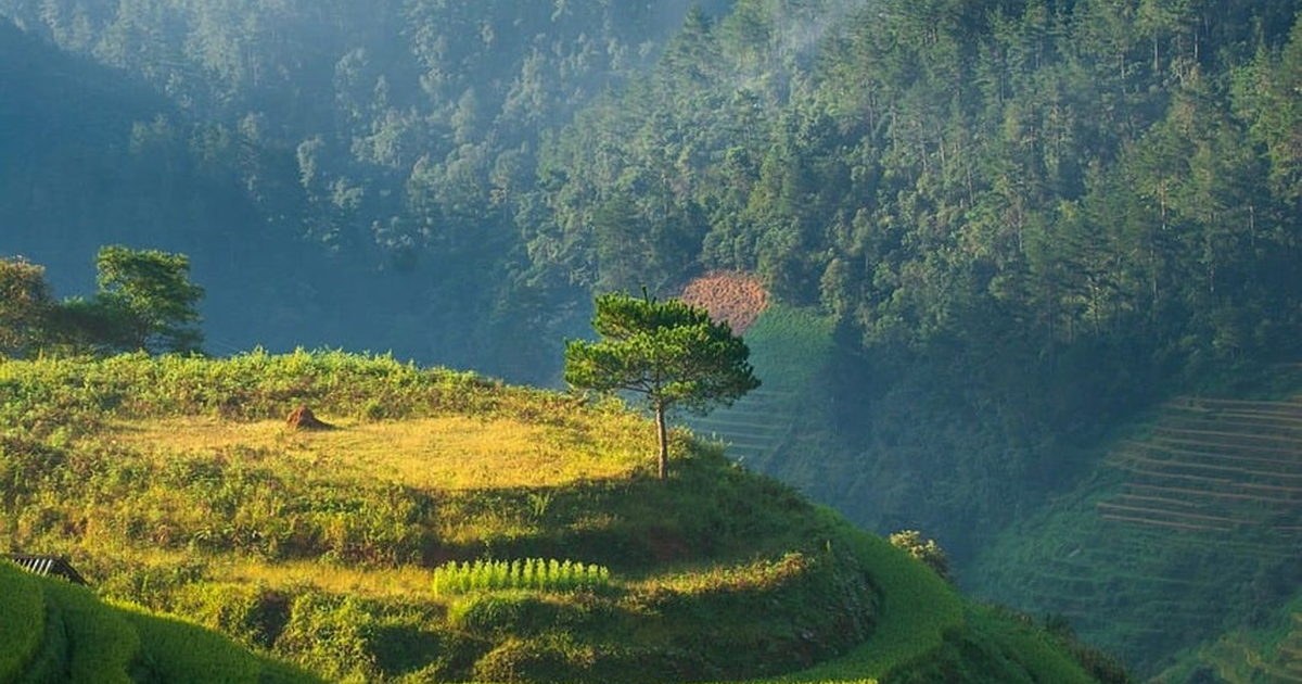 Best Vegan Food in Bali: 8 Must-Try Spots for Plant-Based Travelers