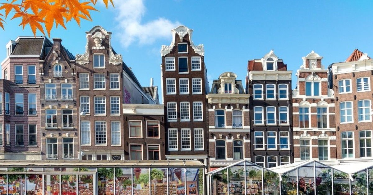 Wake Up with the Flower Market: Behind the Scenes at Amsterdam’s Bloemenmarkt