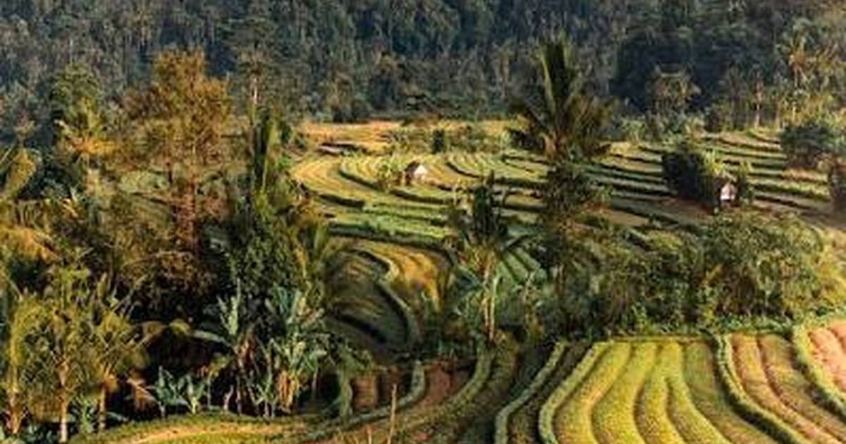 Booking Too Late in High Season: A Costly Bali Mistake