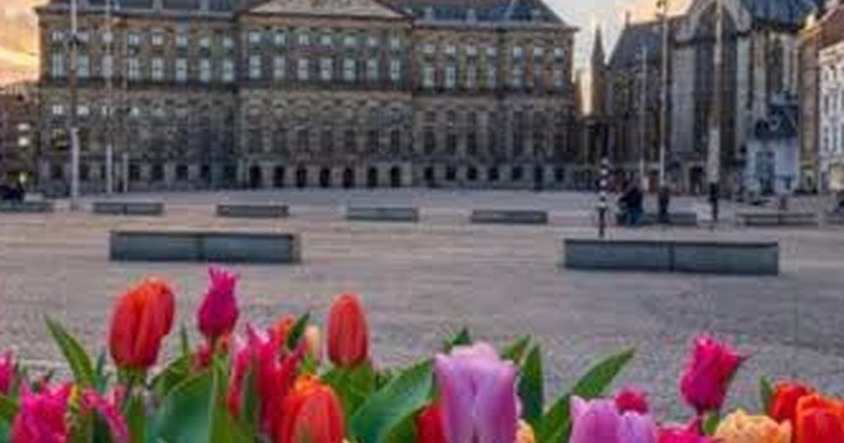 Dam Square vs. Museumplein: Where Should You Start in Amsterdam?