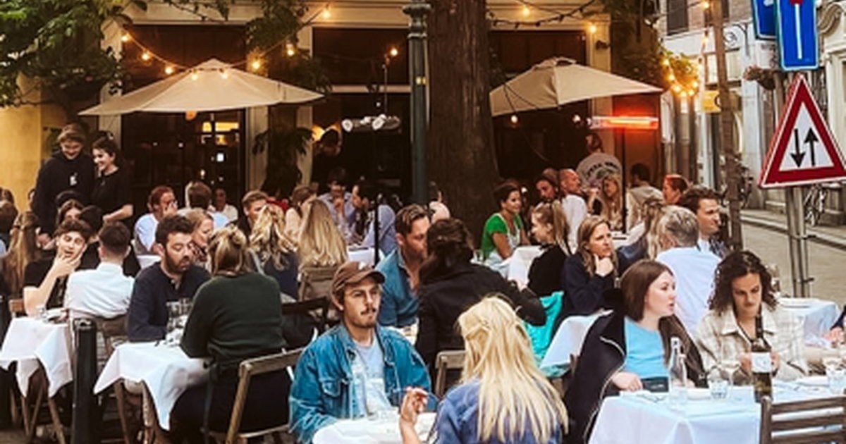 Denneweg’s Best Lunch Spots: Where to Eat in The Hague’s Trendy Quarter