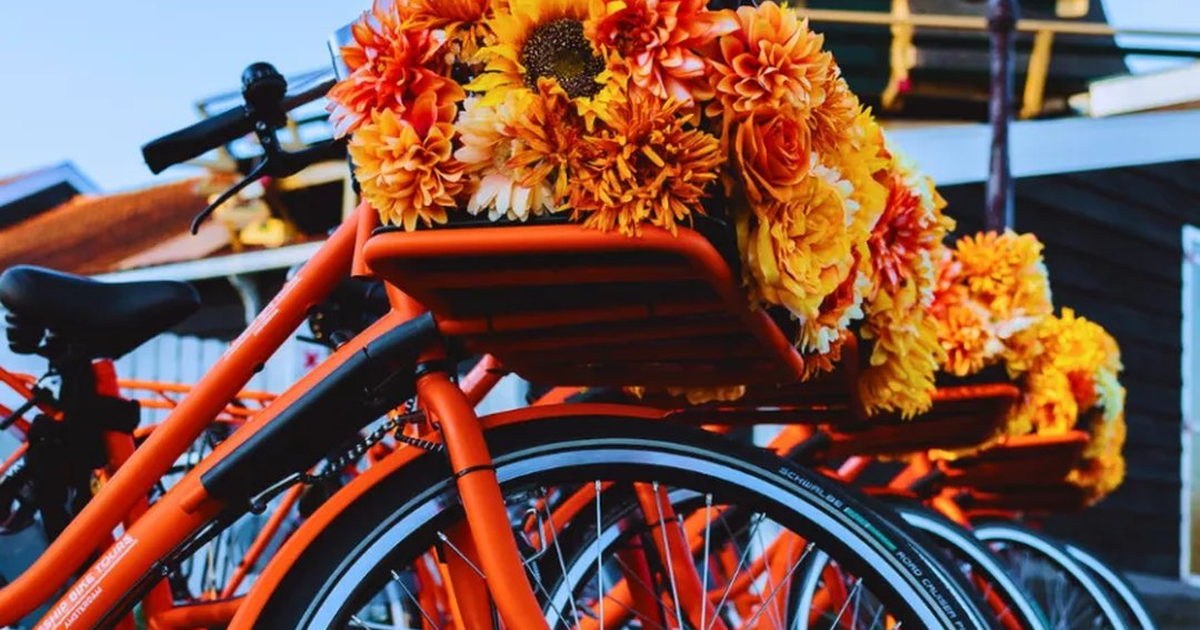 Renting a Bike in Amsterdam: Should You Do It?