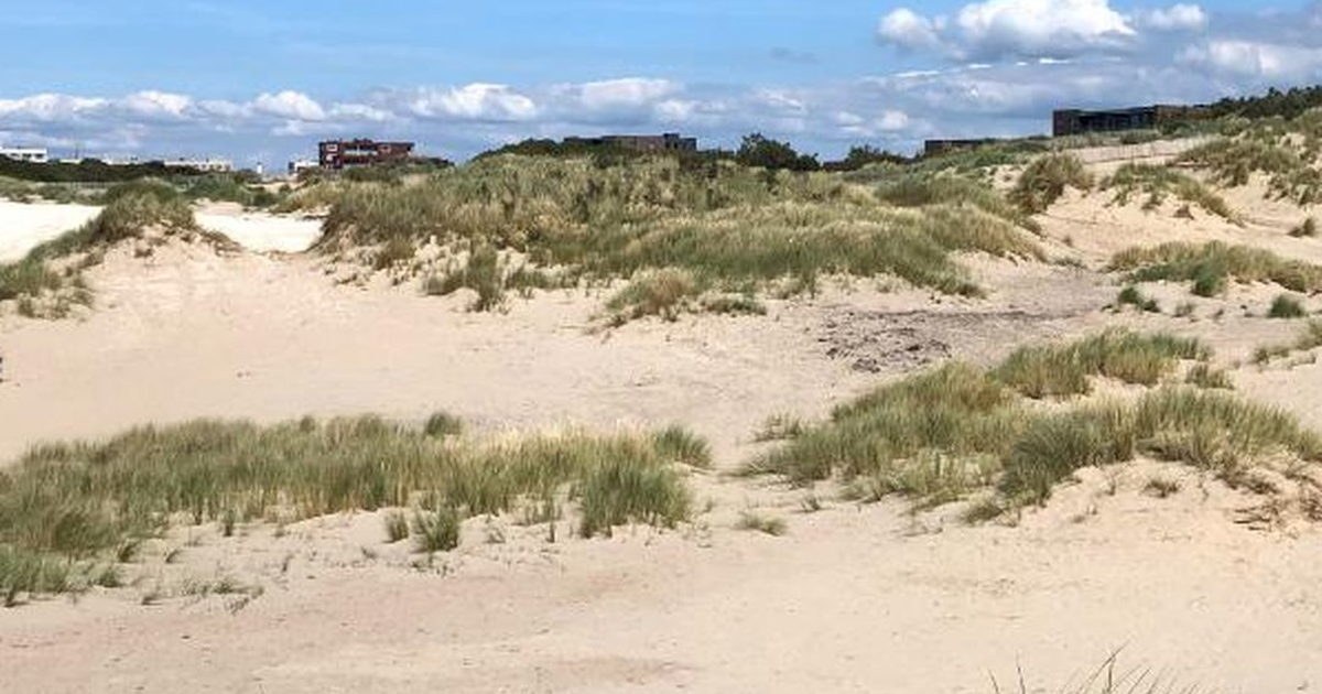 How to Reach Kijkduin: The Hague’s Quiet Beach Escape Explained