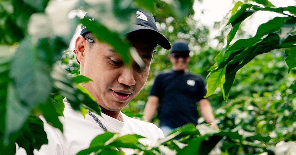 Indonesian Coffee Culture: From Bean to Cup