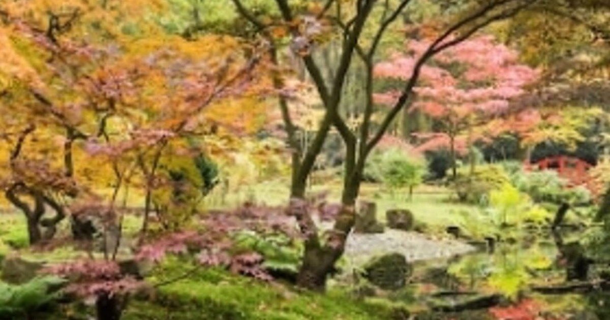 The Japanese Garden in Clingendael: The Hague’s Tranquil Secret