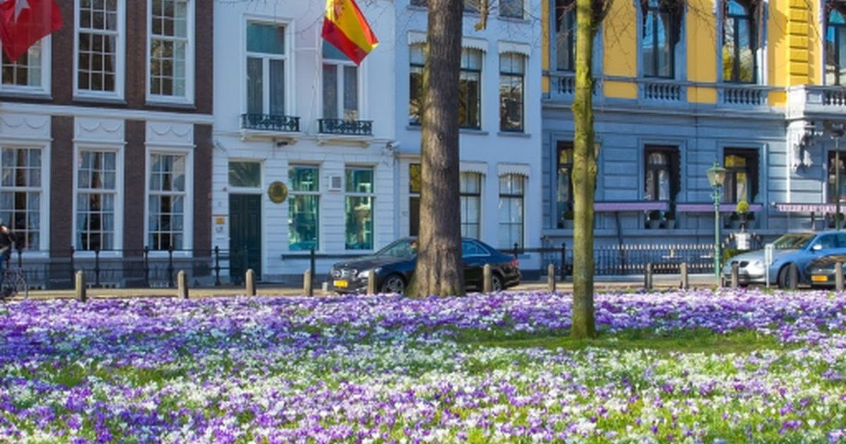 Lange Voorhout: The Hague's Most Atmospheric Hidden Gem