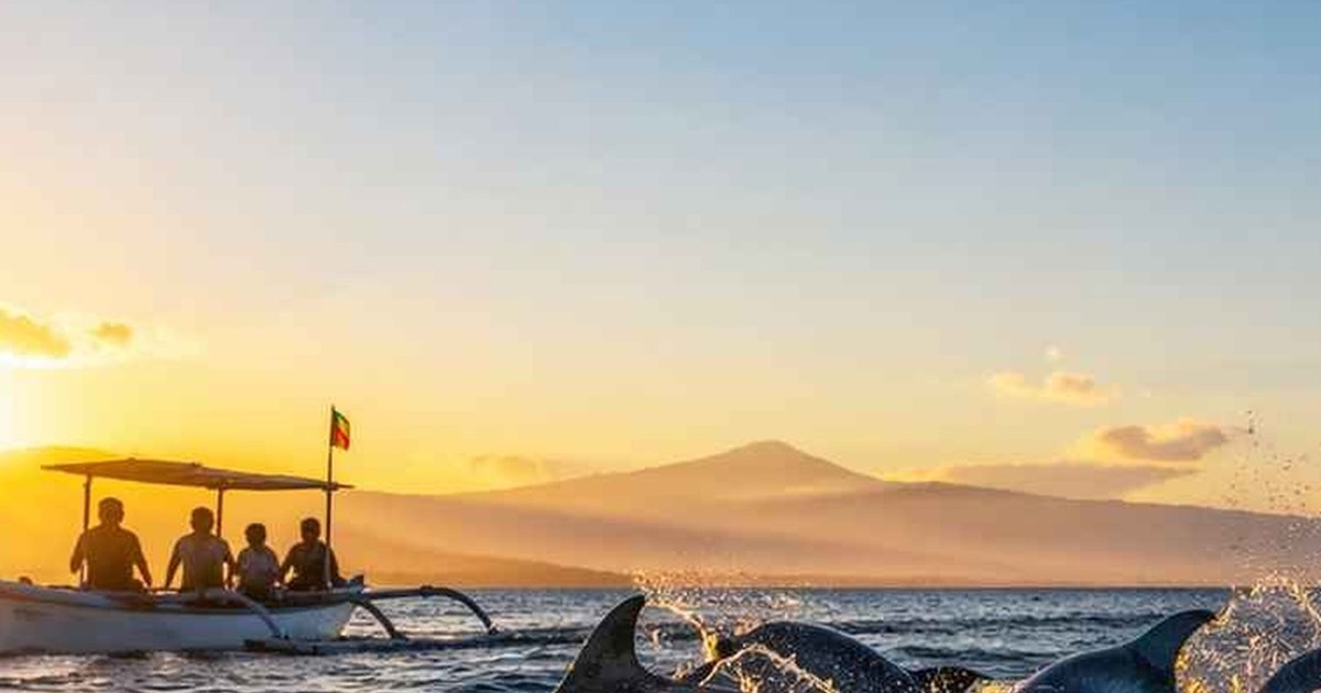 Morning Dolphins in Lovina: A Magical North Bali Experience
