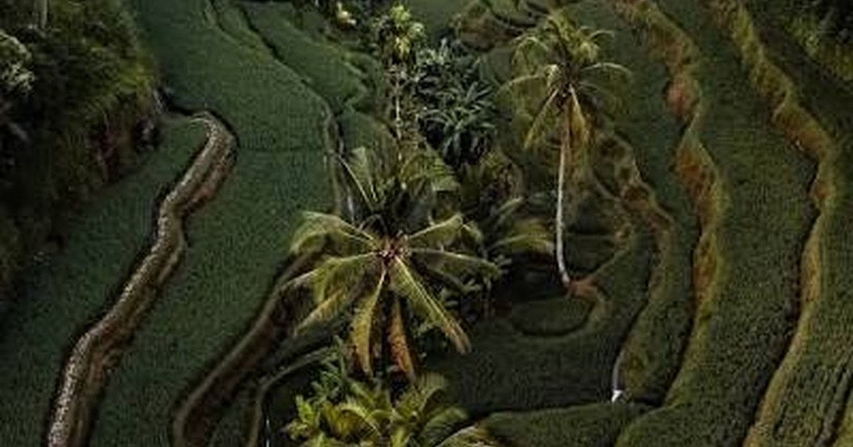 North Bali Adventure: A Day-by-Day Itinerary