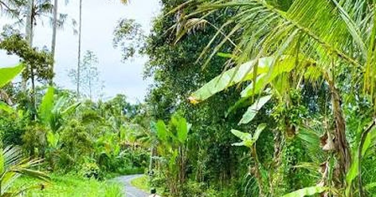 North Bali vs South Bali: Which Is Right For You?