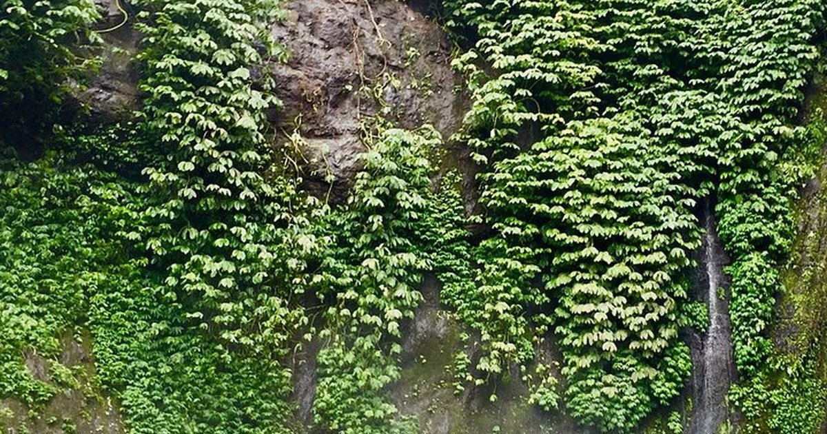 Quiet Waterfalls in Munduk: Where Serenity Meets Nature